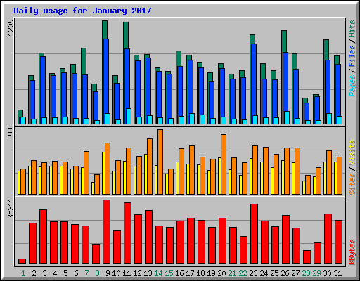 Daily usage for January 2017