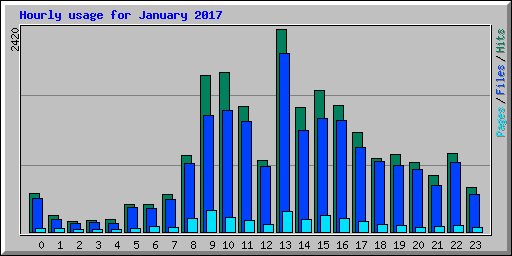 Hourly usage for January 2017